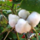 마룡초등학교 이미지