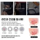 바디핏 EMS 이미지