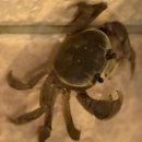 헤어클럽 앞 교통섬 | 괌 PIC 4박 5일 후기 1 (pic 골드패스 로얄클럽룸 / 3인가족 / 7세 아이 동반 / 티웨이 항공)