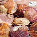 청록숯불갈비 이미지