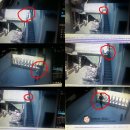 도담기공소 이미지