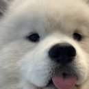 겨울이 머무는 집 이미지