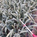 정길농장 이미지