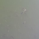 신안산대학교 이미지