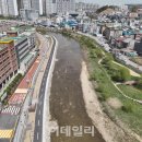 양지천 마평동 이미지