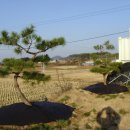 송림농장 이미지