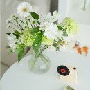 수고한 나에게 주는 , 꽃 | 플립플라워 꽃구독서비스 꾸준히 선택하는 이유