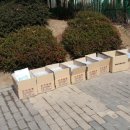 한일초등학교(병설) 이미지