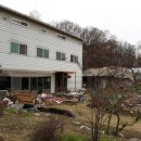 들꽃풍경 이미지