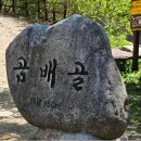 207차 곰배령(1.164m ) 이미지