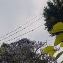 세민다방 이미지