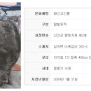 임자 화산단 네이버블로그