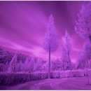 나585 infrared Ray photo homework(적외선촬영실습) 이미지