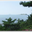 외도구역 Daum카페