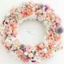 루나의원 이미지