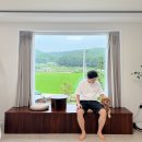 공간부춘 | 경남 거제 애견동반 독채숙소 공간부춘 내돈내잠 후기