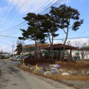 땅콩 게임장 이미지