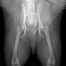 철원동물병원 이미지