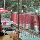 작은영토 별관 이미지