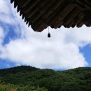 가나 행정사사무소 이미지