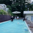 초원켄넬 | 남양주 애견카페 수영장, 계곡 물놀이까쥐~