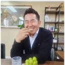 협동조합플랫폼 네이버블로그