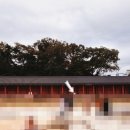 더플레인호텔 비원 | [아이와 함께] 창덕궁 나들이_ 궁궐 전각 해설 참여 후기 (궁궐 길라잡이)