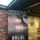 러브버드 | [화이트 버드]시사회 관람후기