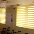 호원대부속유치원 이미지