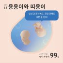 (주)정림스토아산성점 | 쌍둥이 임신 24주~28주 배크기+무게차이 까지