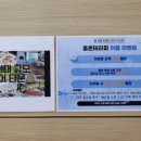 홀론테라피