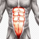 용인대삼성태권도 이미지