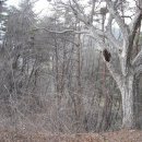 구산축산 이미지