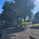 마음담은계절농원 이미지