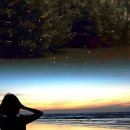 히말투어 이미지