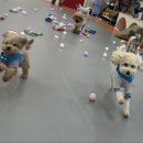 동선유치원 이미지