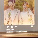 무드홀릭