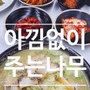 주는나무 | 평택 백숙 맛집 찾는다면 여기! 아낌없이 주는 나무 푸짐한 보양식 후기