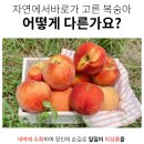 황도축산 이미지