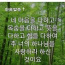 사도행전12 이미지