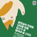 닥터캣 고양이병원 이미지