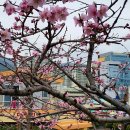 우룡산공원 이미지