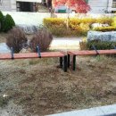 토성초등학교 티스토리