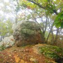 신덕목장 이미지