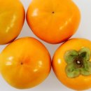 아빠농장 이미지