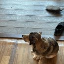 참숯마을 숯의힘 | [인천/강화] 인천 찜질방 추천 강화참숯마을 바베큐장 후기 | 겨울 근교 여행지