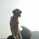 갈맷길(4-1구간) 이미지