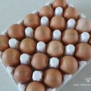 푸른초원농원 이미지