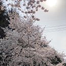 도원고등학교앞 이미지