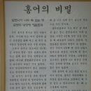 홍어전문 이미지